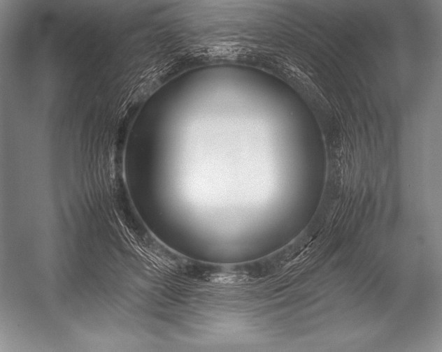 X0000052990504200507221224