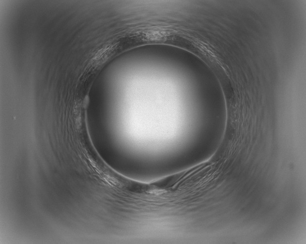 X0000052990505200507221224