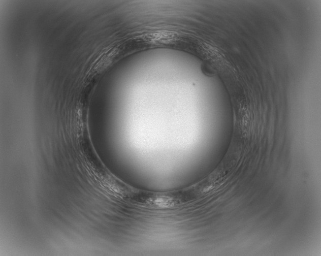 X0000052990506200507221224