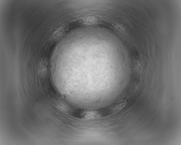X0000052990507200507221224