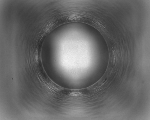 X0000052990508200507221224