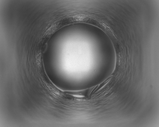 X0000052990509200507221224