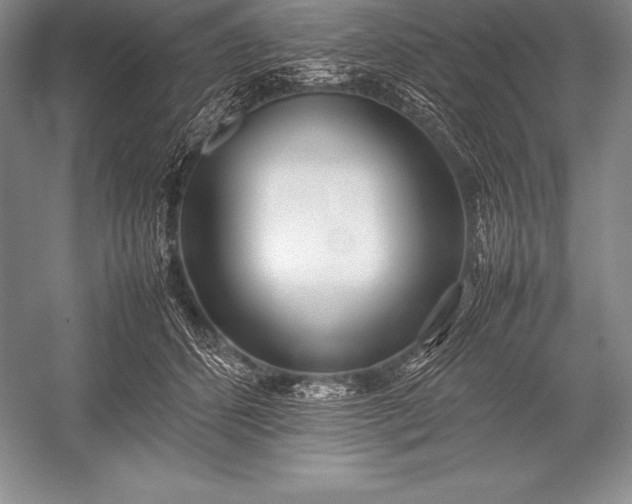 X0000052990512200507221224
