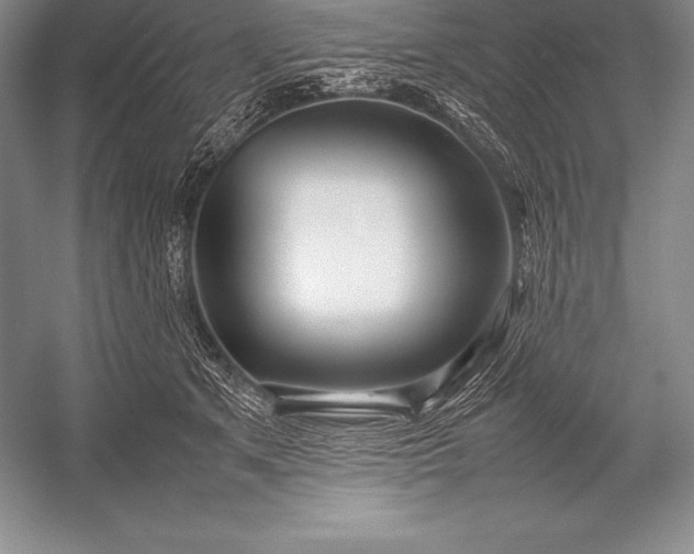 X0000052990513200507221224