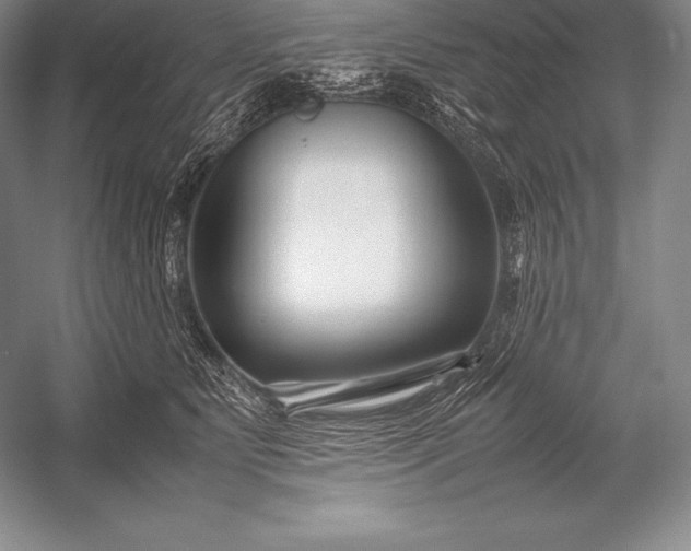 X0000052990515200507221224