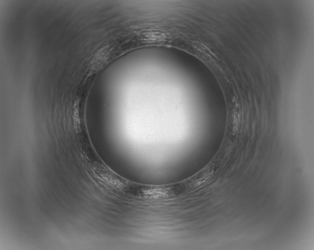 X0000052990516200507221224