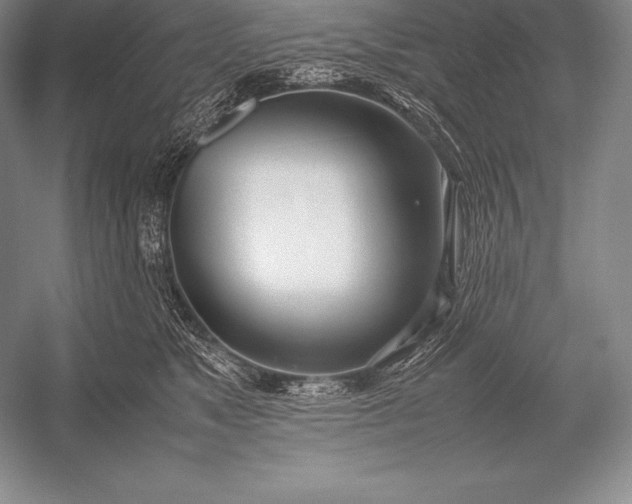 X0000052990517200507221224