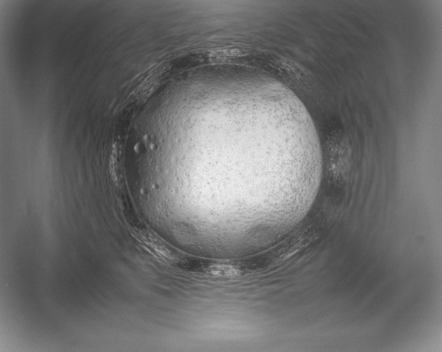 X0000052990519200507221224