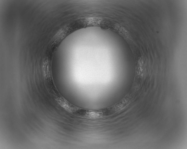 X0000052990522200507221224