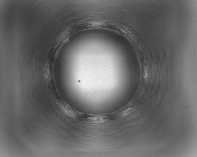 X0000052990524200507221224