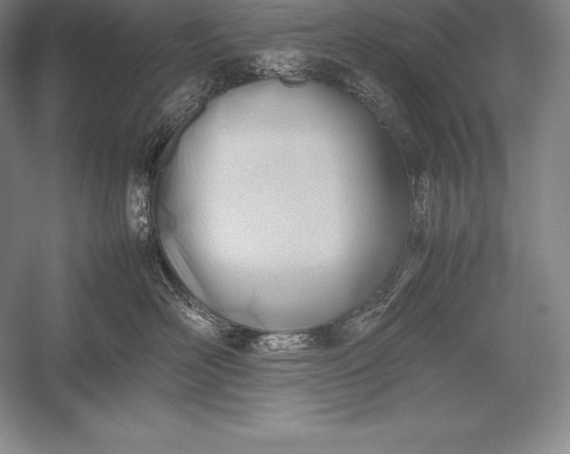 X0000052990526200507221224
