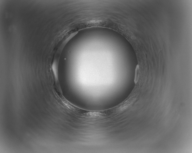 X0000052990528200507221224