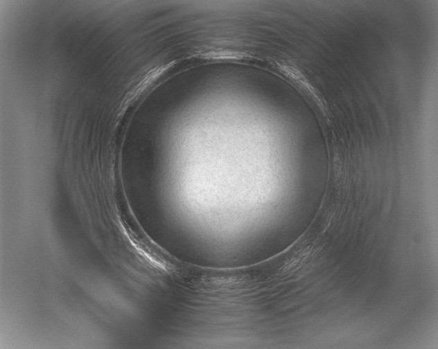 X0000052990533200507221223