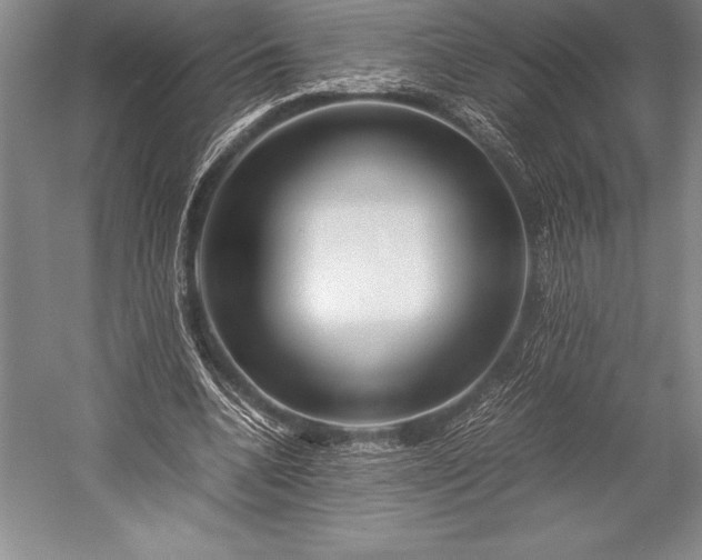 X0000052990536200507221223