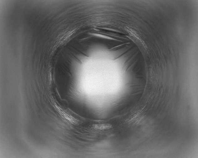 X0000052990541200507221223