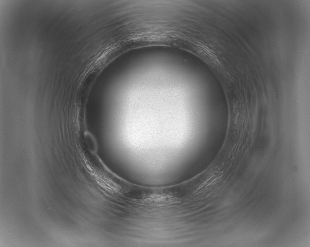 X0000052990542200507221223