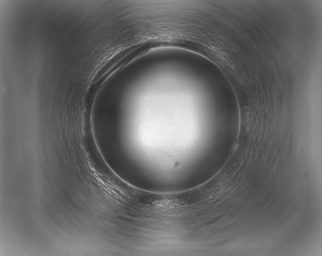 X0000052990544200507221223