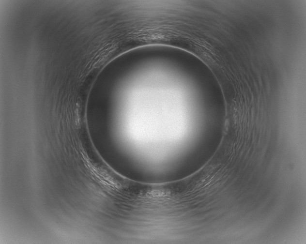 X0000052990546200507221223