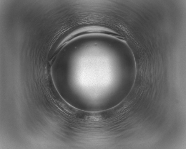 X0000052990548200507221223