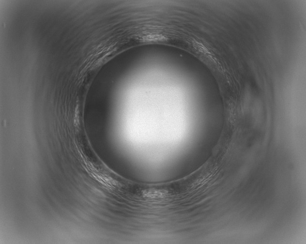 X0000052990549200507221223