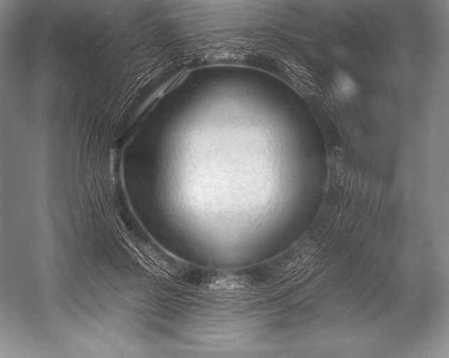 X0000052990550200507221223