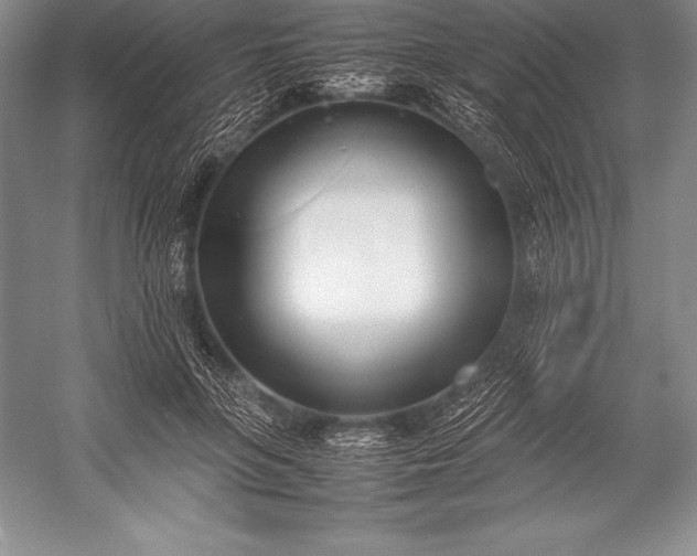 X0000052990551200507221223