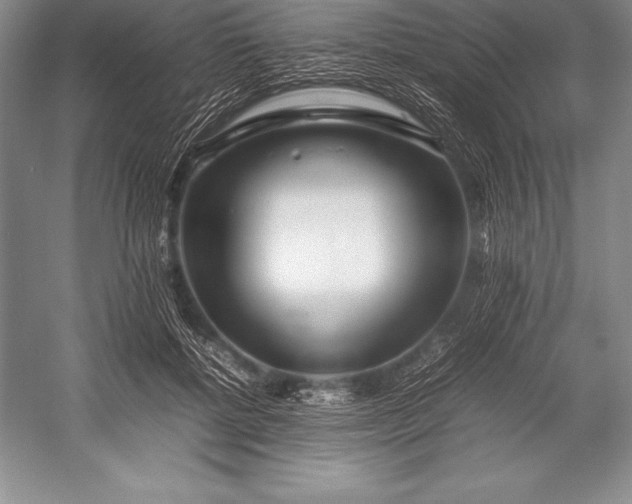 X0000052990552200507221223