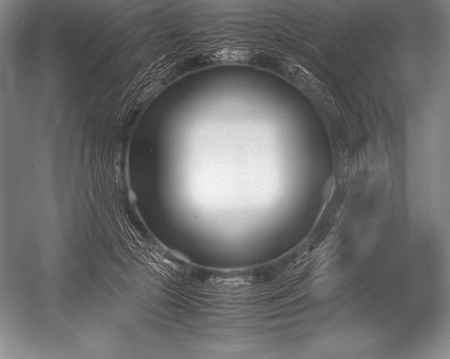 X0000052990553200507221223