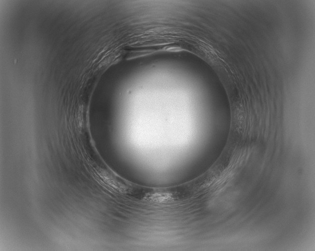 X0000052990554200507221223