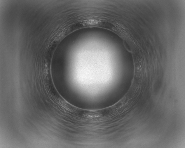 X0000052990555200507221223