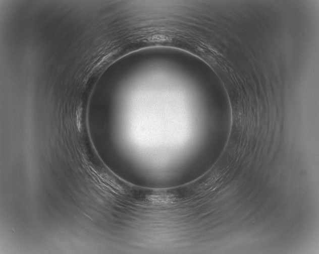 X0000052990556200507221223