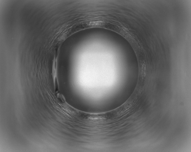 X0000052990557200507221223