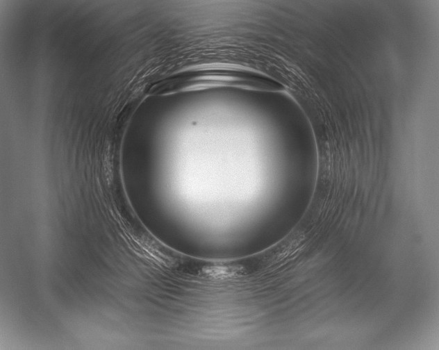 X0000052990558200507221223