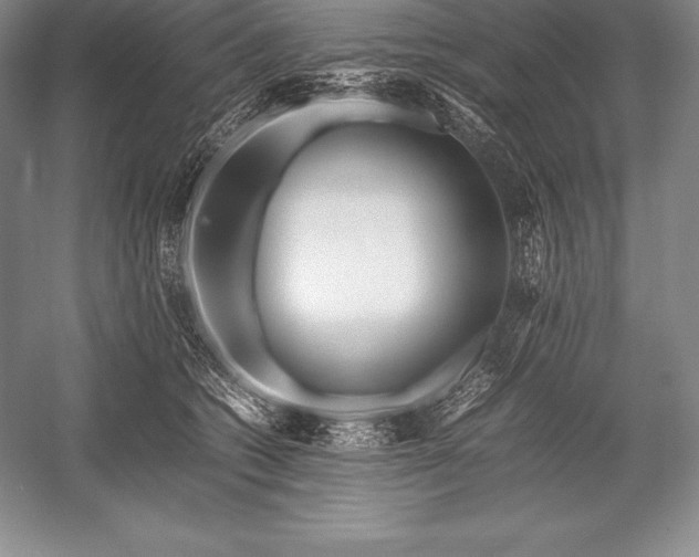 X0000052990562200507221224