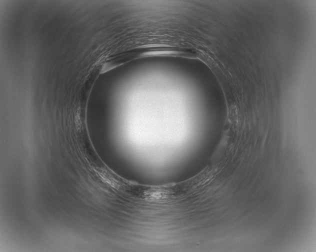 X0000052990564200507221224