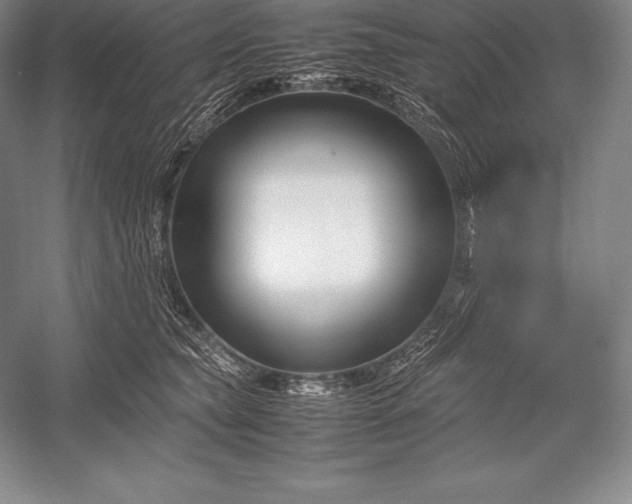 X0000052990565200507221224