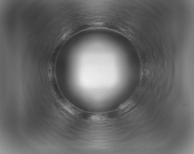 X0000052990568200507221224