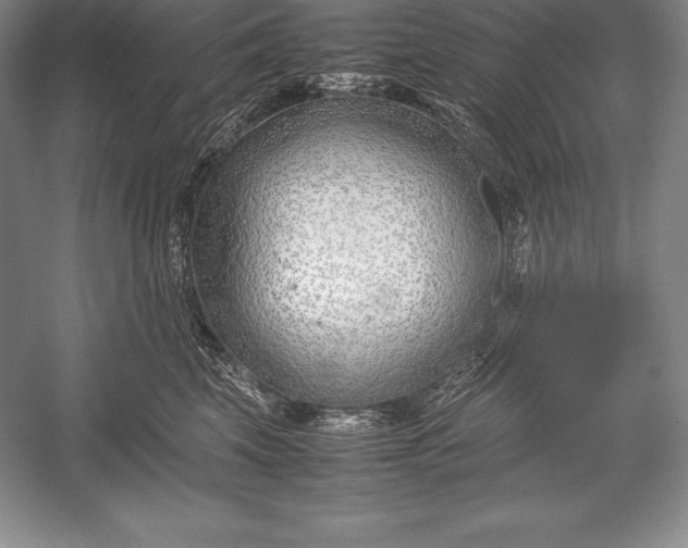 X0000052990569200507221224