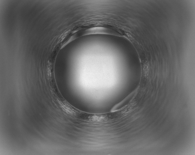 X0000052990570200507221224