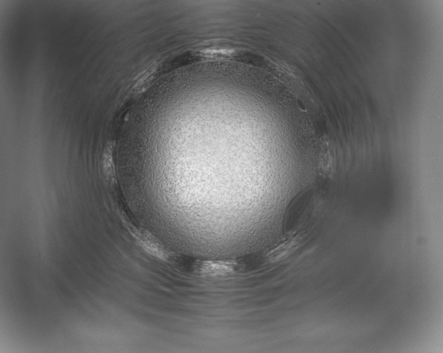 X0000052990573200507221224