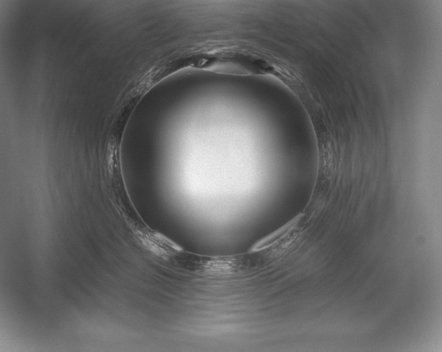 X0000052990574200507221224