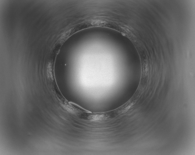 X0000052990575200507221224