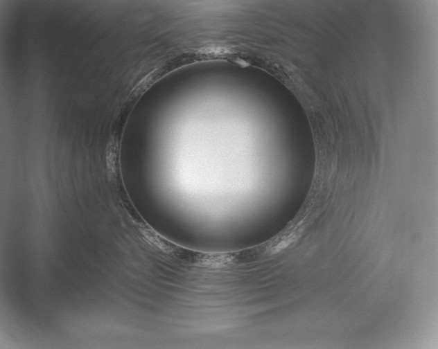 X0000052990576200507221224
