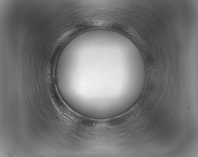 X0000052990587200507221223