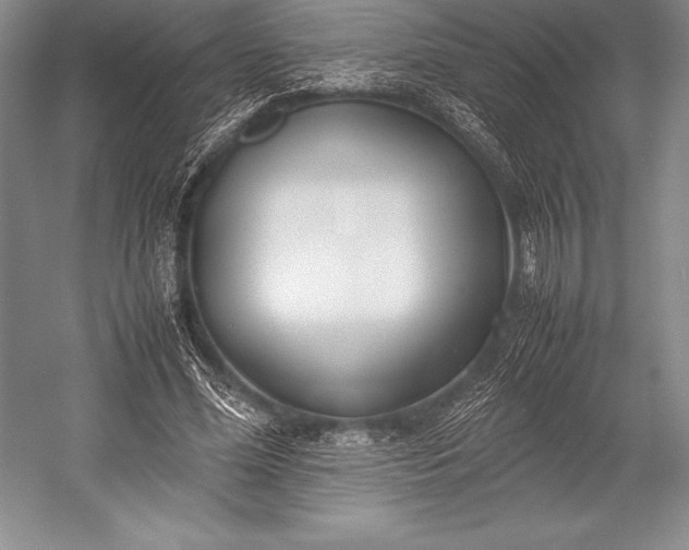 X0000052990588200507221223