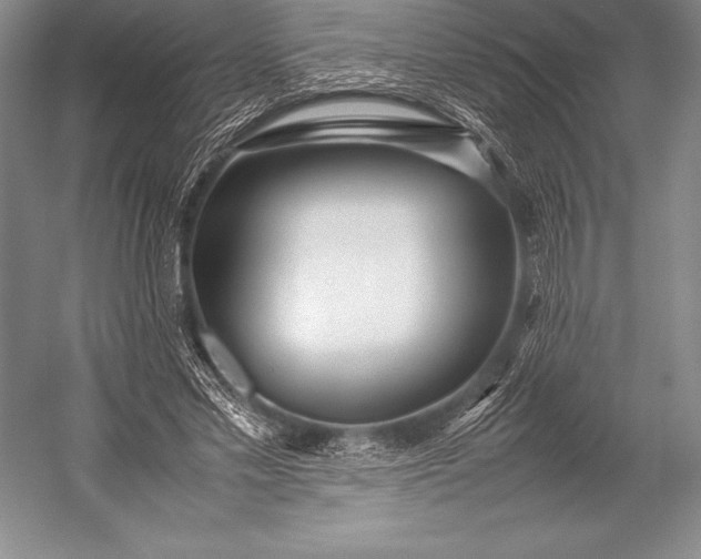 X0000052990589200507221223