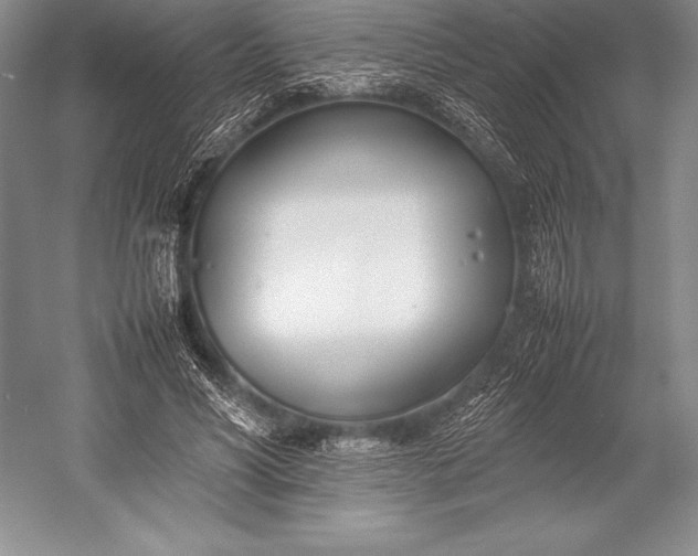X0000052990590200507221223