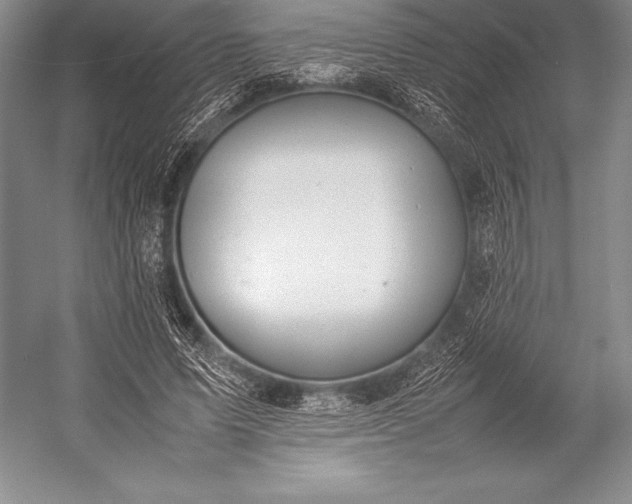 X0000052990591200507221223