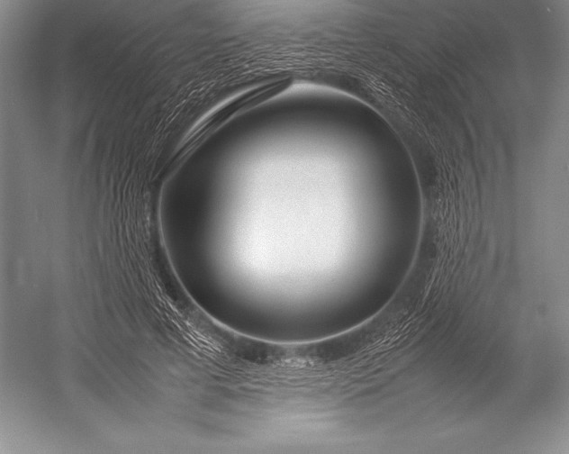 X0000052990593200507221223