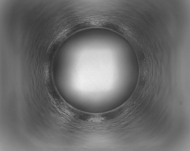 X0000052990595200507221223